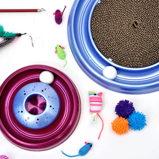 Bergan Catnip Cyclone Interactive Cat Toy