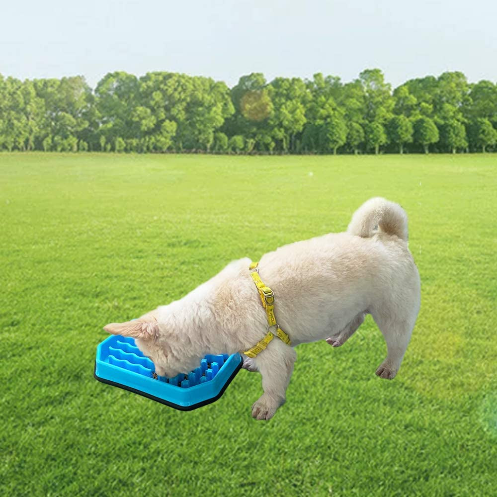 Slow Feeding Bowl,Slow Feeder Dog Bowls,Puzzle Feeder Bloat Stop to Slow down Eating,Pet Slower Food Feeding Dishes for Medium Small Breed & Puppies