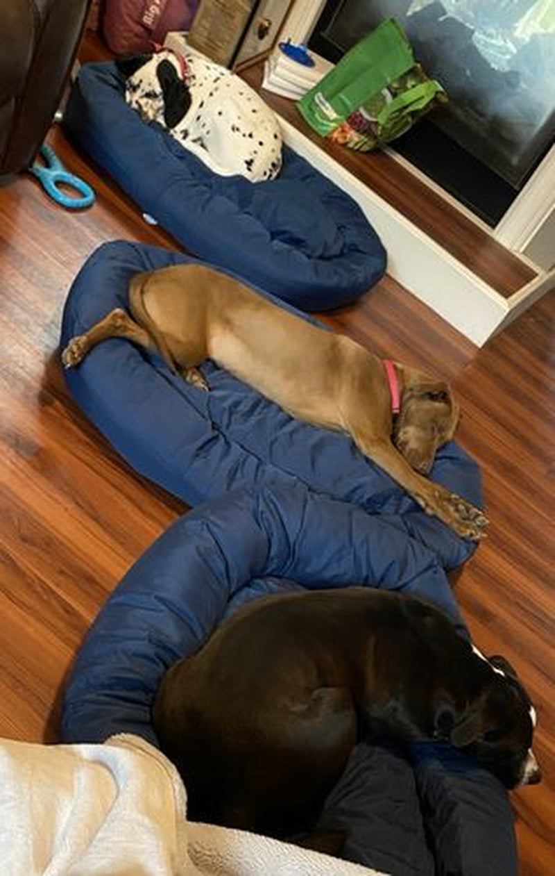 Cozypaws Dog Bed - the Original Reversable Dog Bed